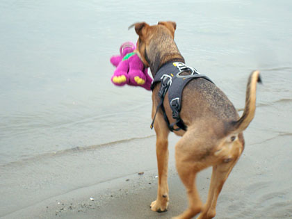 Caira Sue attempts to drown Barney