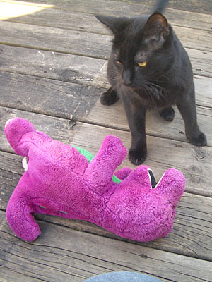 Barney and the Monkeycat