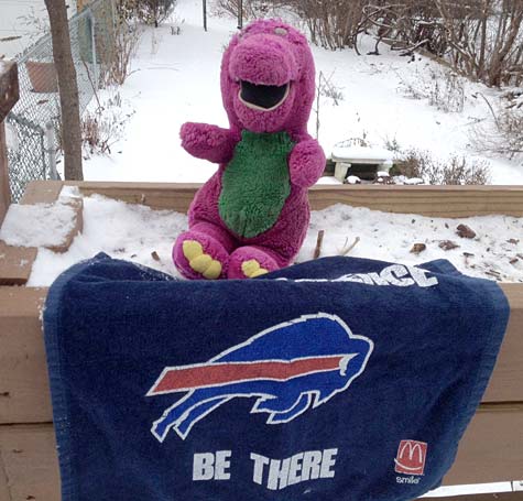 Barney Goes to Buffalo