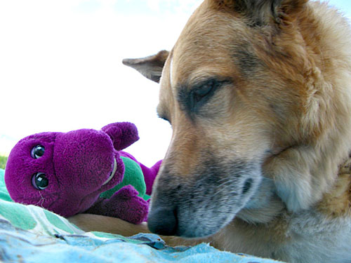 Jerry says final goodbye to Barney.