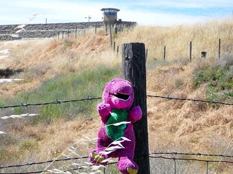 KillBarney Tour Takes Barney To Folsom Prison