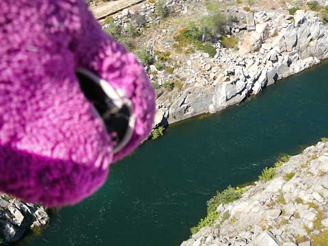 Barney Overlooks Nimbus Dam