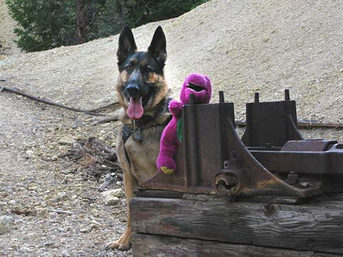 Wyatt shows Barney around Vickers Ranch