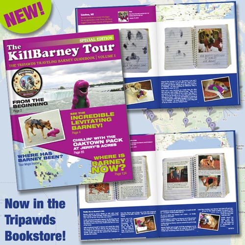 KillBarney Tour Book Vol. 1